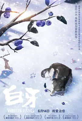 cl入口地址2020