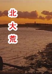 爱情是任何人