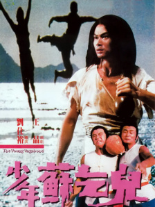 久久中文字幕综合婷婷